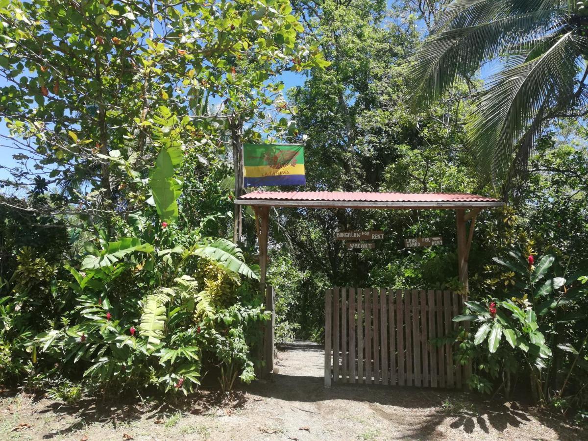 La Tarima Del Colibri Ecolodge El Valle  Εξωτερικό φωτογραφία