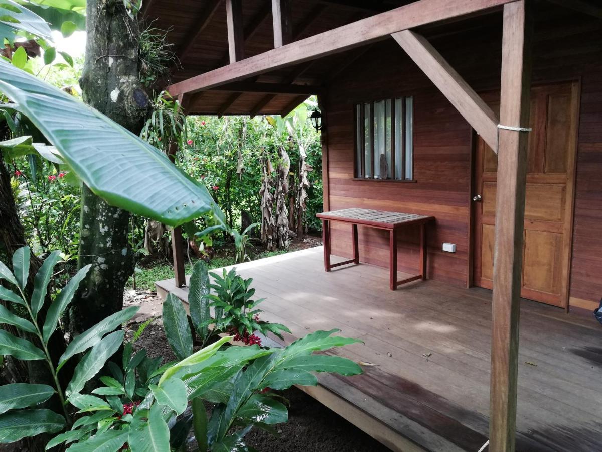 La Tarima Del Colibri Ecolodge El Valle  Εξωτερικό φωτογραφία