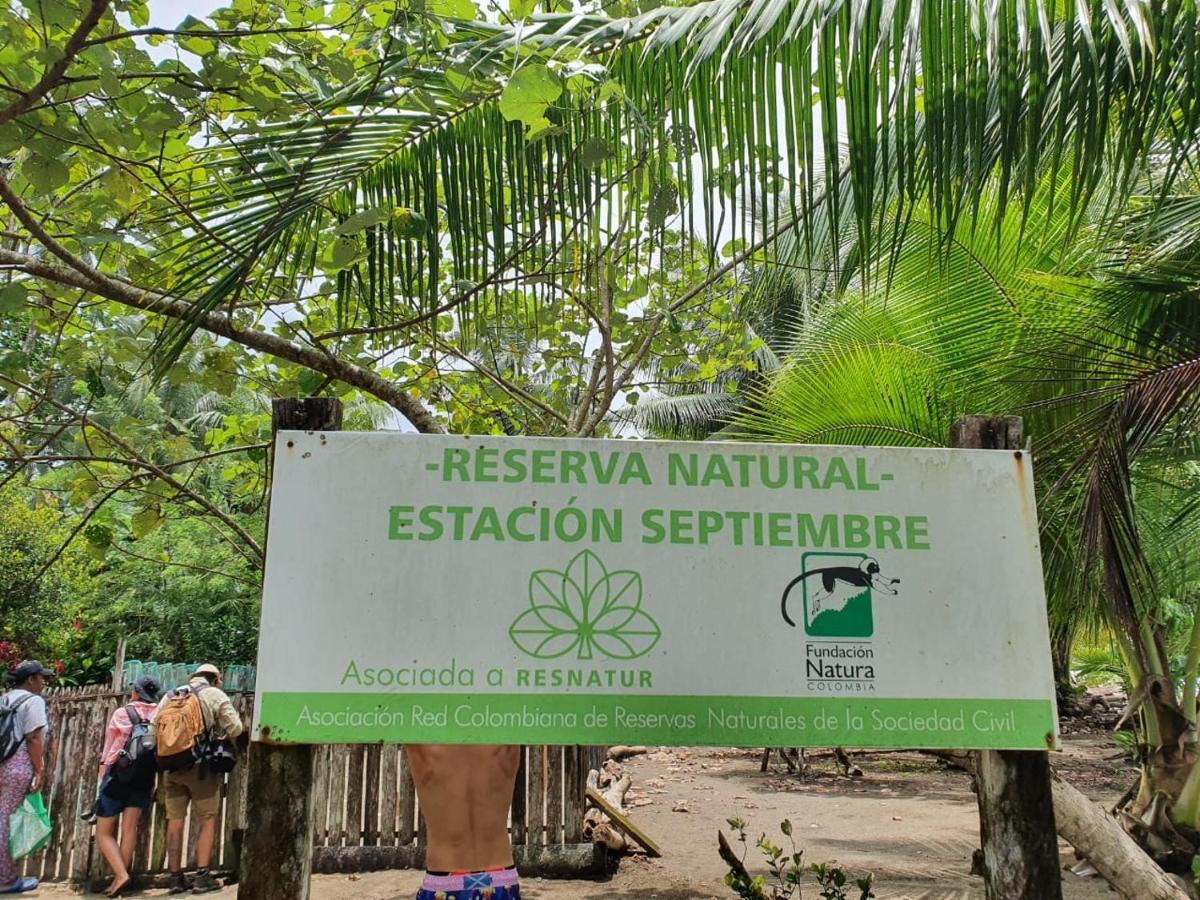 La Tarima Del Colibri Ecolodge El Valle  Εξωτερικό φωτογραφία
