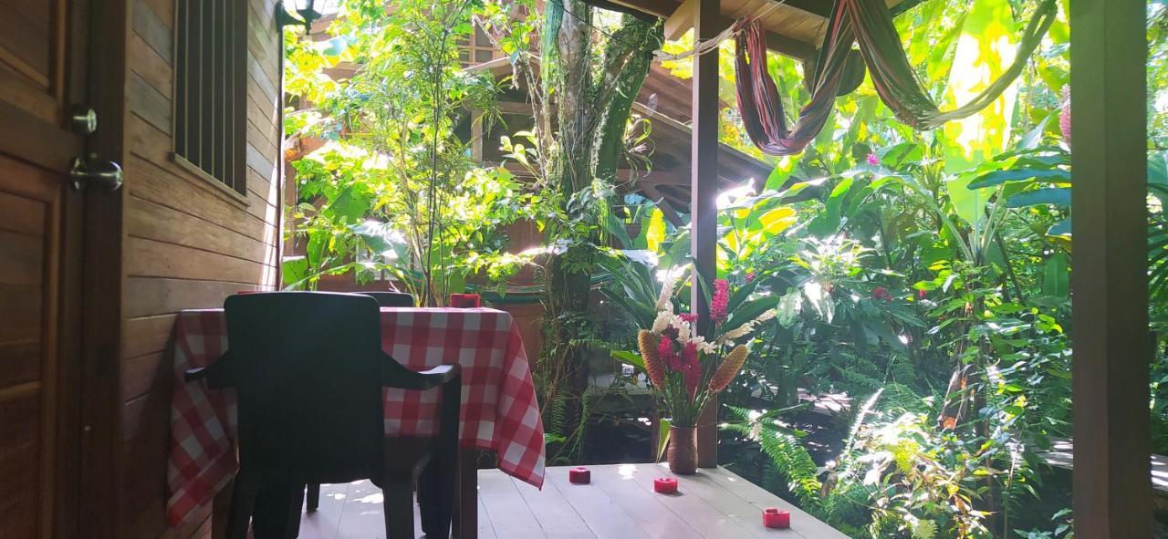 La Tarima Del Colibri Ecolodge El Valle  Εξωτερικό φωτογραφία
