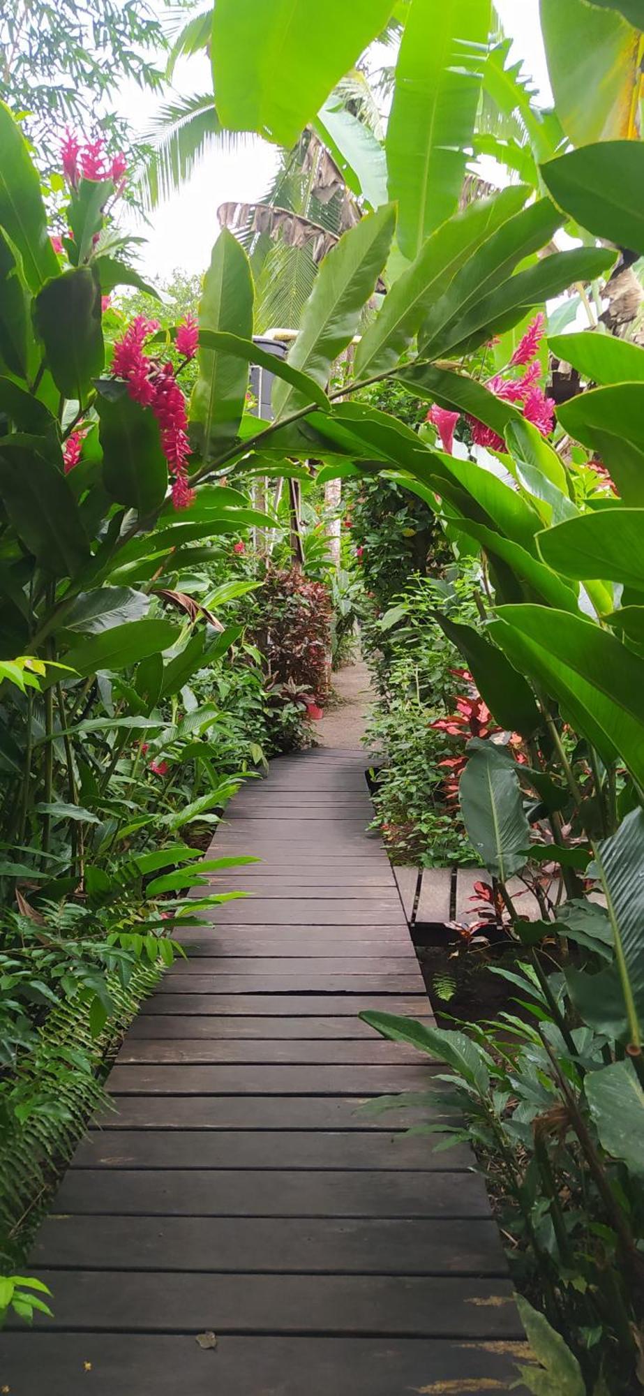 La Tarima Del Colibri Ecolodge El Valle  Εξωτερικό φωτογραφία