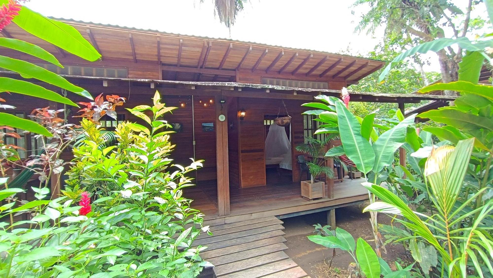 La Tarima Del Colibri Ecolodge El Valle  Εξωτερικό φωτογραφία