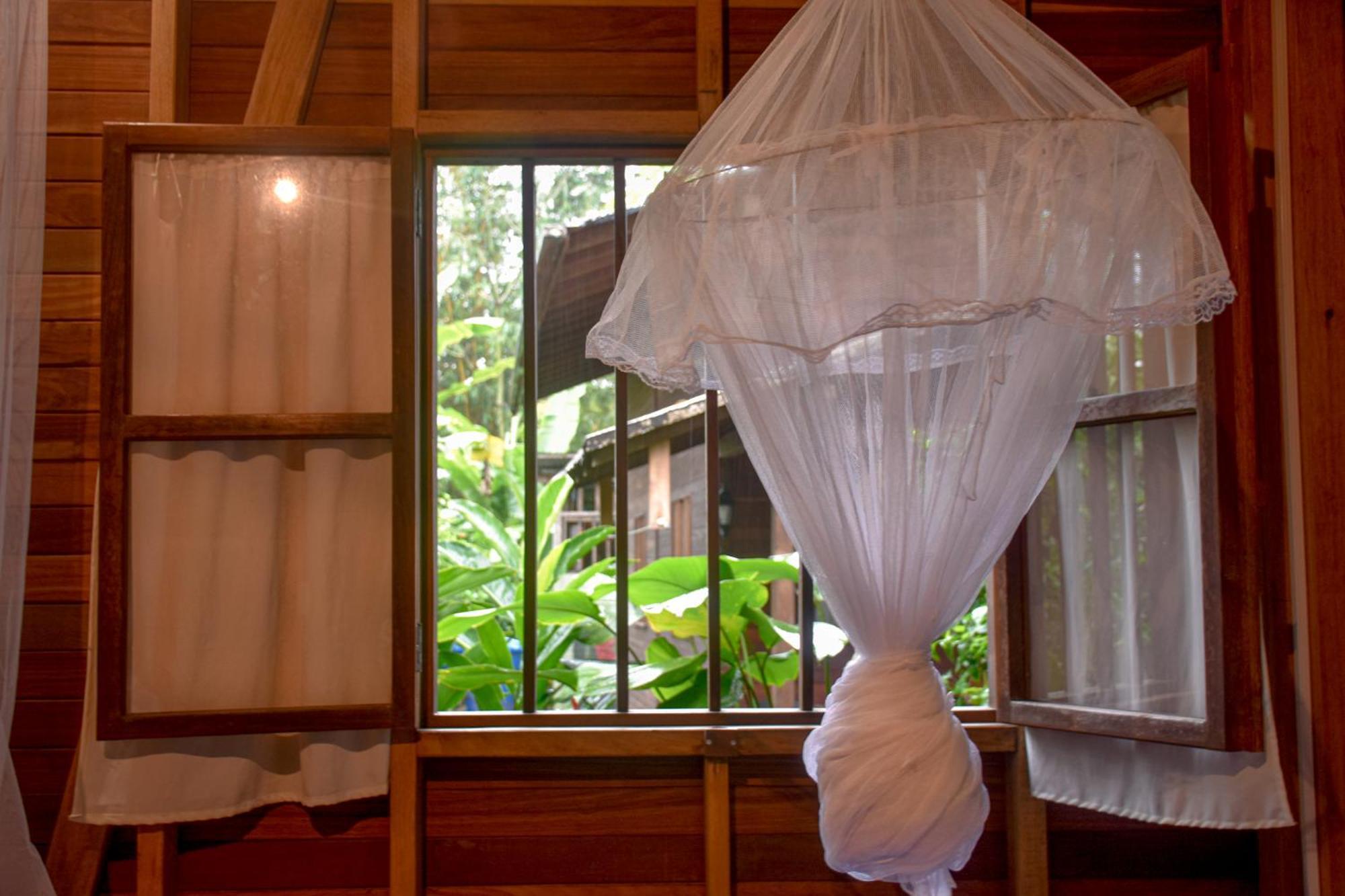 La Tarima Del Colibri Ecolodge El Valle  Εξωτερικό φωτογραφία