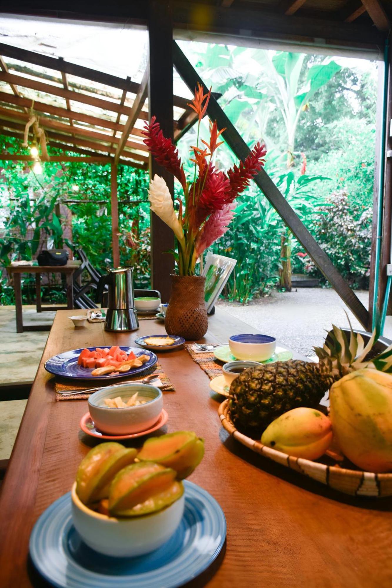 La Tarima Del Colibri Ecolodge El Valle  Εξωτερικό φωτογραφία