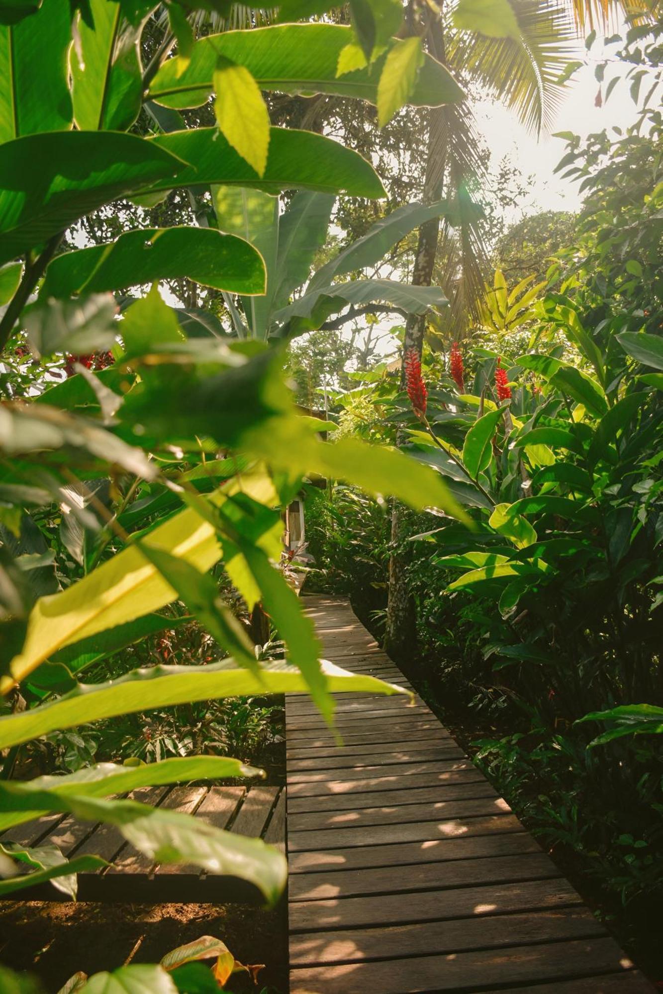 La Tarima Del Colibri Ecolodge El Valle  Εξωτερικό φωτογραφία