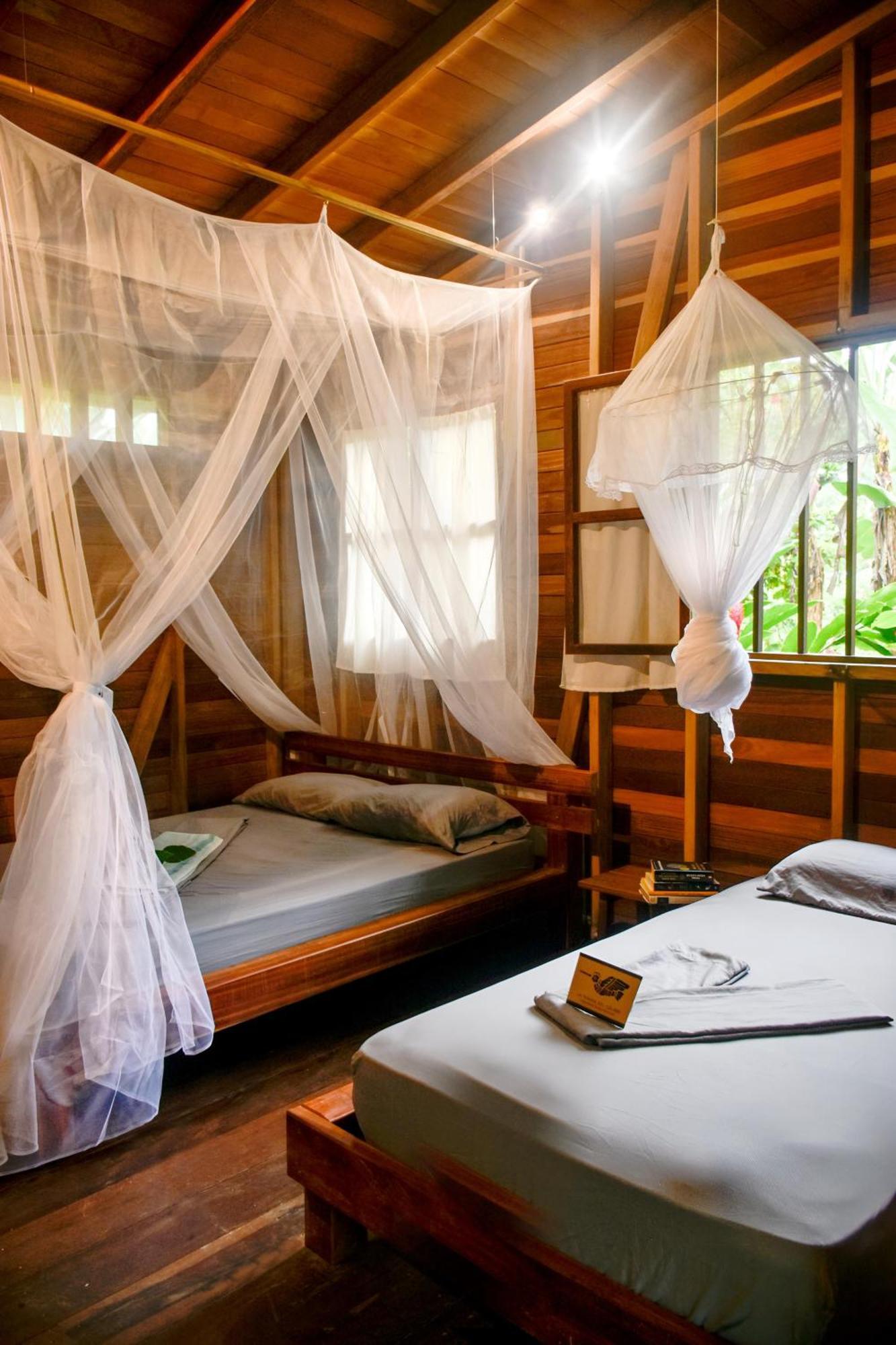 La Tarima Del Colibri Ecolodge El Valle  Εξωτερικό φωτογραφία